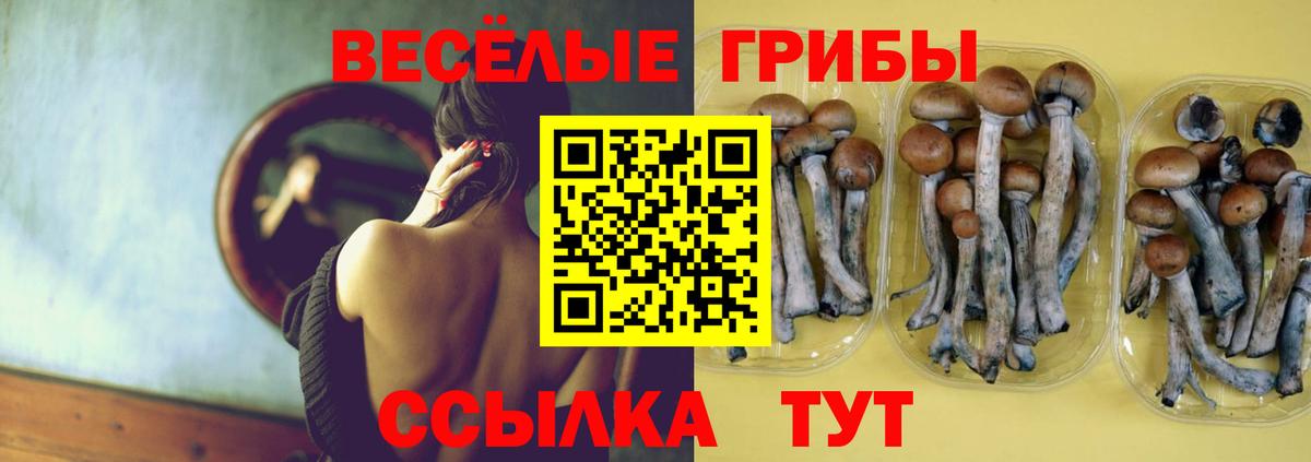 Псилоцибиновые грибы мухоморы Кушва